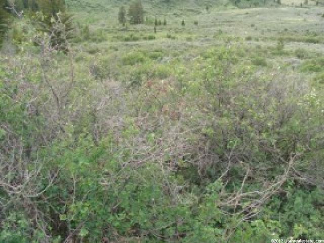 20 Summit Rd, Soda Springs, ID 83276 — photo 5