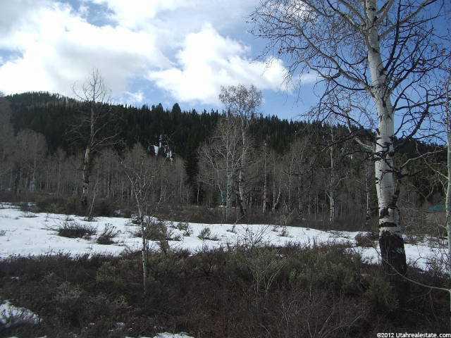 323 Ashley Dr #323, Kamas, UT 84036 — photo 6