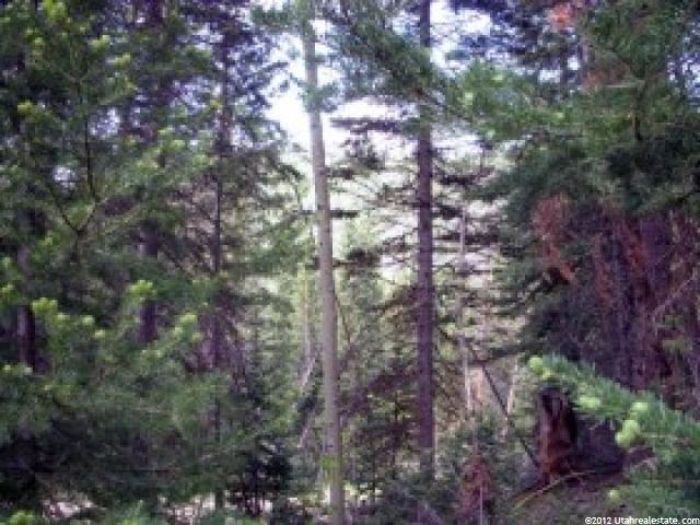 11003 E Tanglewood Dr #663, Heber City, UT 84032 — photo 2