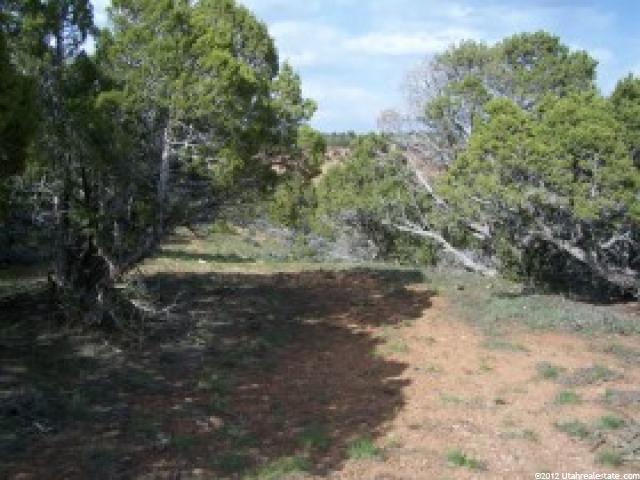 #7, Fruitland, UT 84027 — photo 4