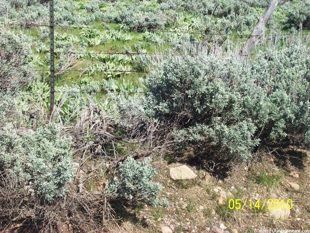 5700 N 3100 E, Liberty, UT 84310 — photo 7