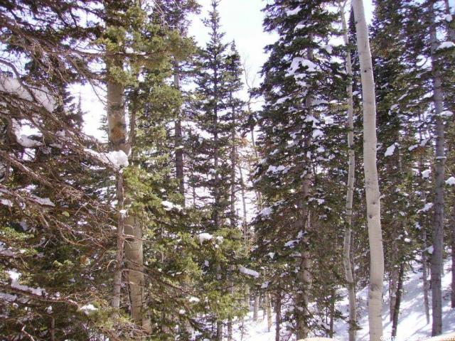 237 W Pinehurst St, Brian Head, UT 84719 — photo 8