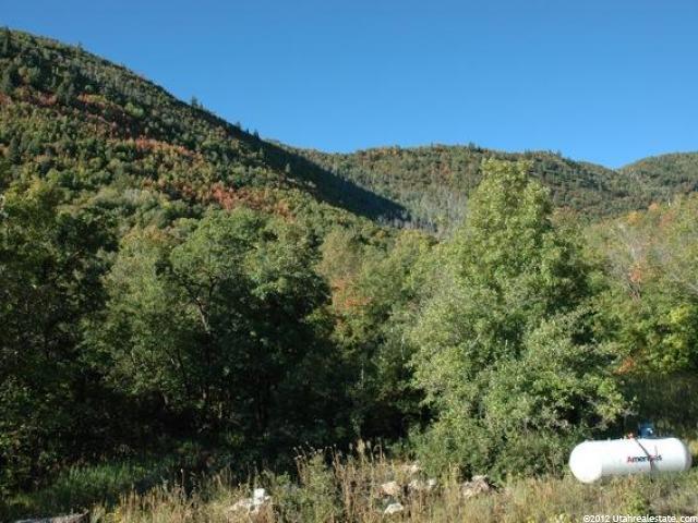 43 Canyon Dr, Midway, UT 84049 — photo 4
