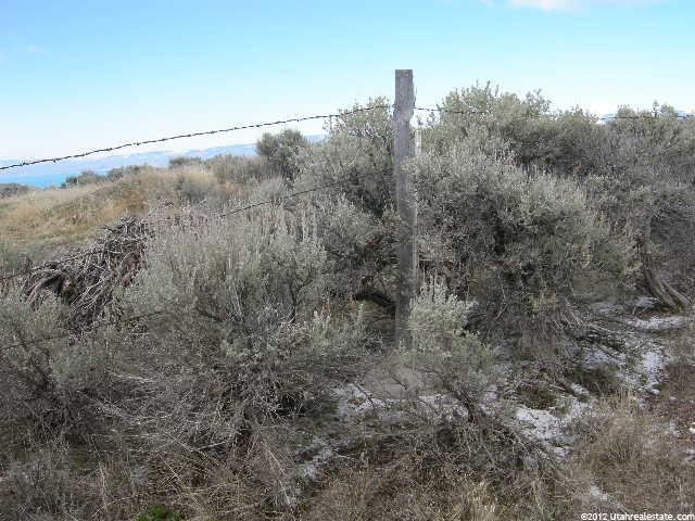 #9, Dingle, ID 83233 — photo 2