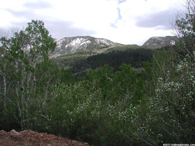 4 Lewis & Clark #4, Oakley, UT 84055 — photo 5