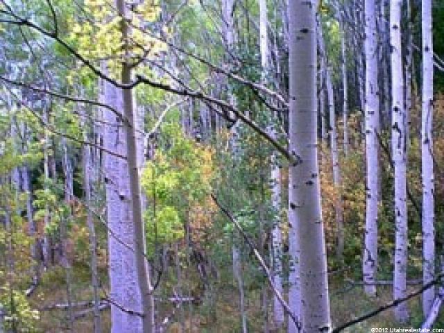 #33, Tabiona, UT 84072 — photo 2