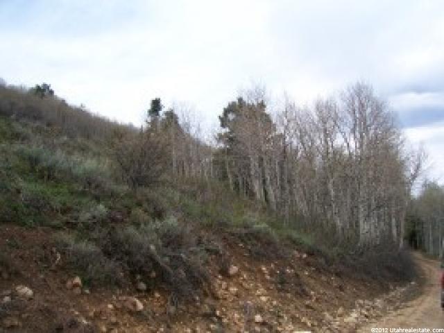 #33, Tabiona, UT 84072 — photo 3