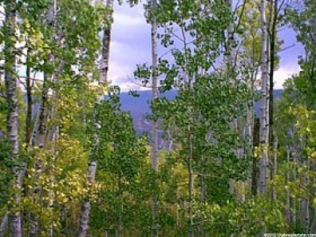 #33, Tabiona, UT 84072 — photo 4