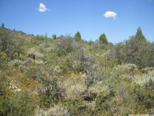 #7, Fish Haven, ID 83287 — photo 6