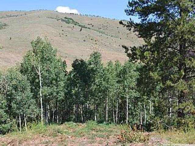 131 Weber Dr #131, Oakley, UT 84055 — photo 4