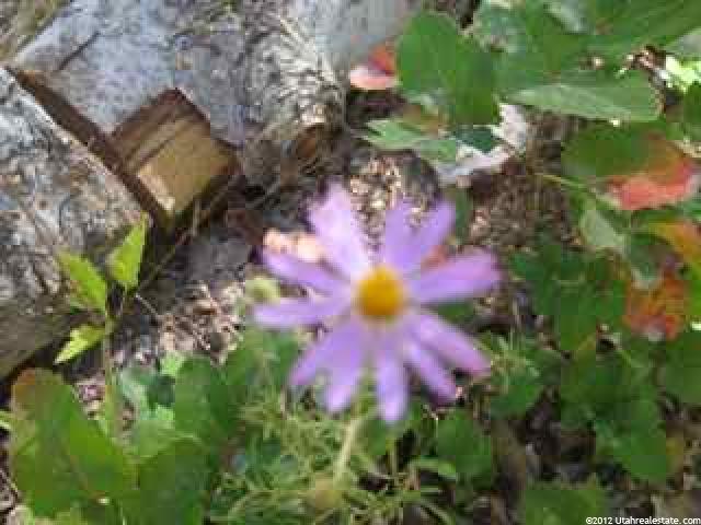 #59, Mt Pleasant, UT 84647 — photo 2