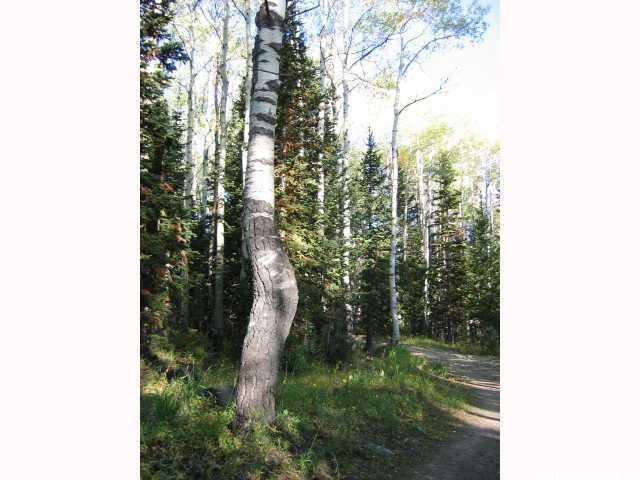 5289 N Pinecone Rd #172, Midway, UT 84049 — photo 8