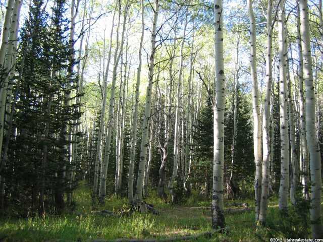 5289 N Pinecone Rd #172, Midway, UT 84049 — photo 9