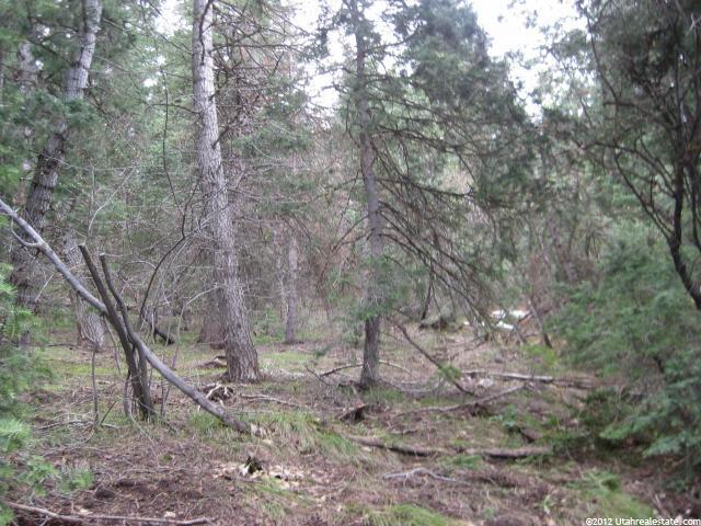 #37, Mt Pleasant, UT 84647 — photo 2