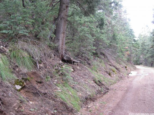 #37, Mt Pleasant, UT 84647 — photo 3