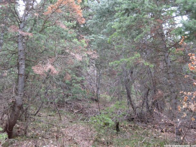 #37, Mt Pleasant, UT 84647 — photo 4