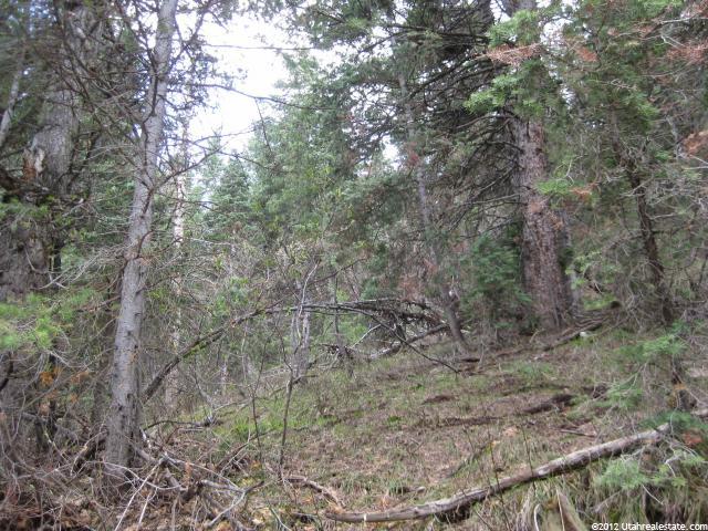 #37, Mt Pleasant, UT 84647 — photo 6