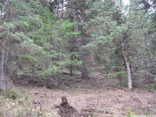 #37, Mt Pleasant, UT 84647 — photo 7