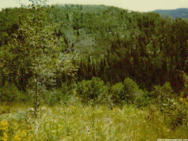 115 Gooseberry #115, Fairview, UT 84629 — photo 3