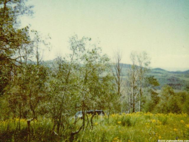 115 Gooseberry #115, Fairview, UT 84629 — photo 4