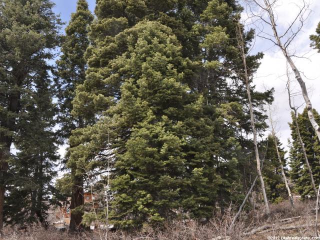 1238 W Maple Plac #I-20, Wanship, UT 84017 — photo 3