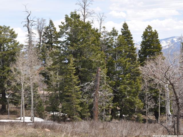 1238 W Maple Plac #I-20, Wanship, UT 84017 — photo 5