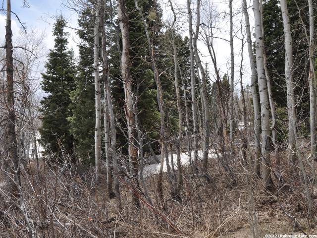 1238 W Maple Plac #I-20, Wanship, UT 84017 — photo 7