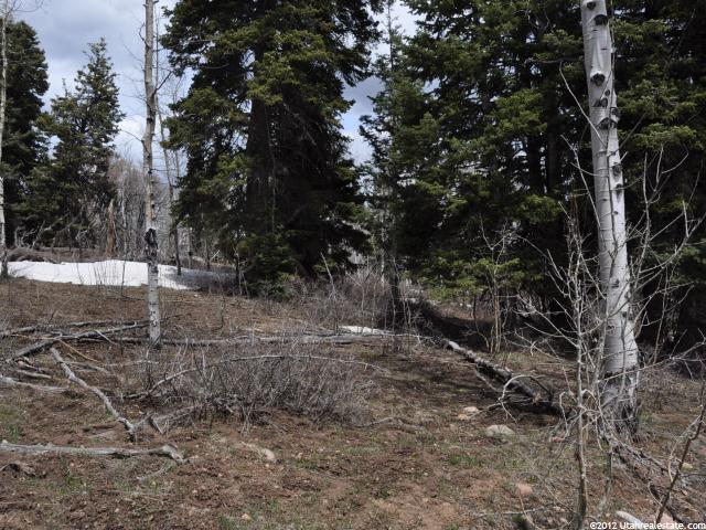1238 W Maple Plac #I-20, Wanship, UT 84017 — photo 9