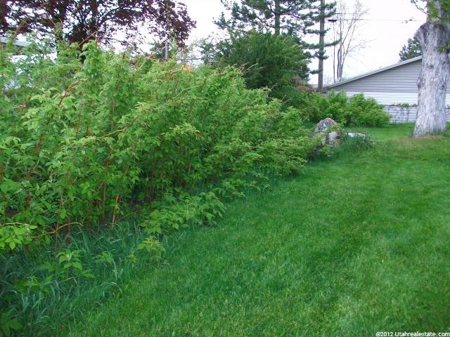 8478 S 1430 E, Sandy, UT 84093 — photo 10