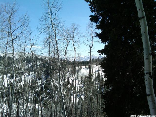 2004 River Birch Rd, Wanship, UT 84017 — photo 10