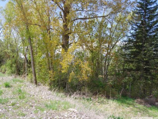 1775 N 1350 E #20, North Logan, UT 84341 — photo 4