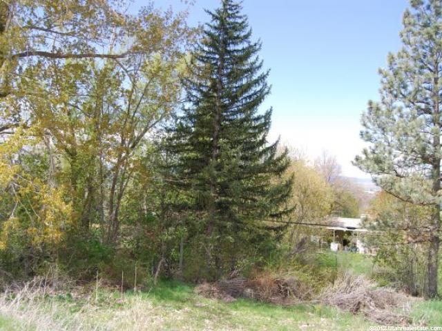 1775 N 1350 E #20, North Logan, UT 84341 — photo 5