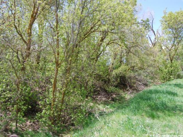 1760 N 1350 E #22, North Logan, UT 84341 — photo 5