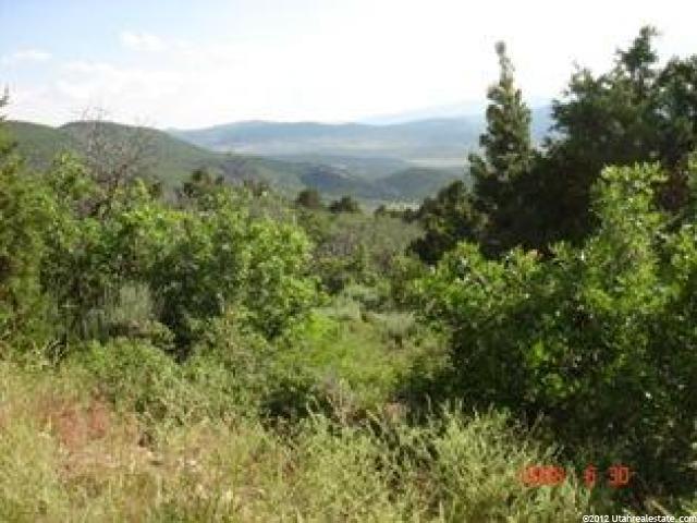 10800 E 39900 N #292,, Fairview, UT 84629 — photo 4