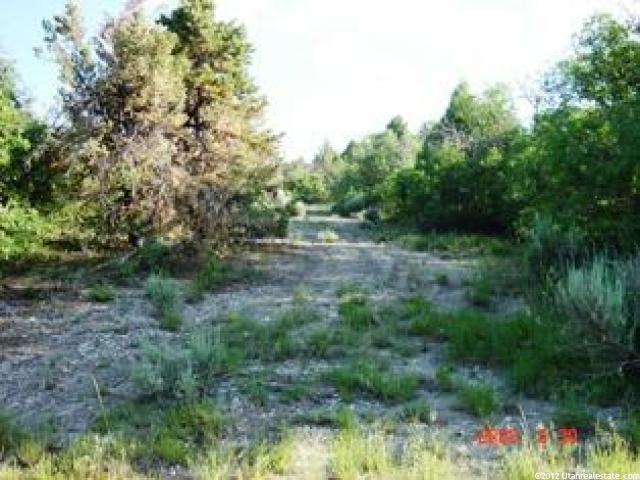10800 E 39900 N #292,, Fairview, UT 84629 — photo 5
