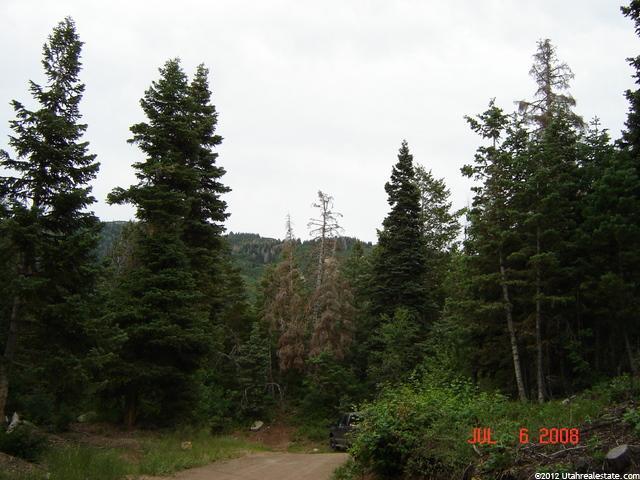 58 Acres #58, Mt Pleasant, UT 84647 — photo 3
