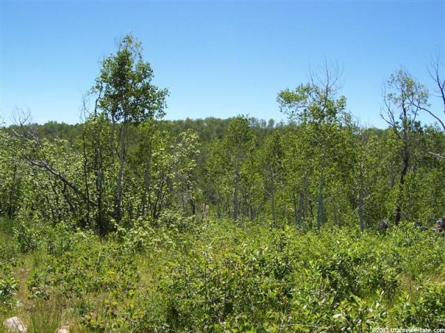 Avon, UT 84328 — photo 2