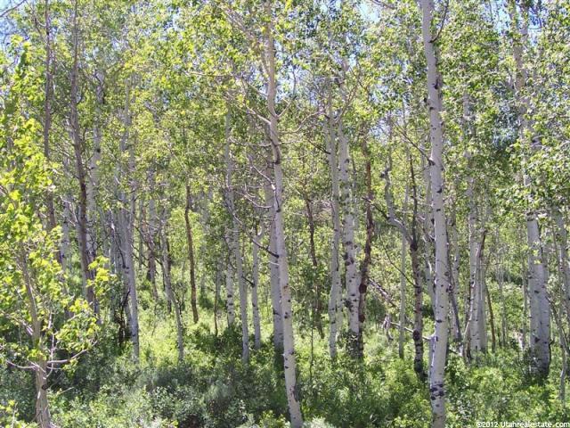Avon, UT 84328 — photo 11