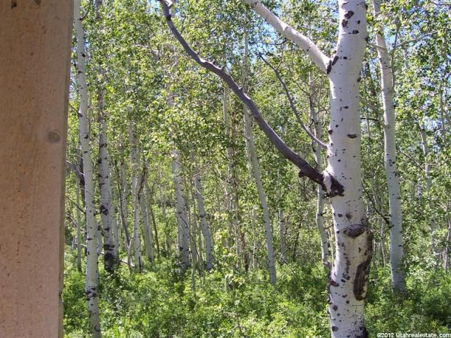 Avon, UT 84328 — photo 12