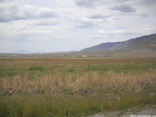 1319 E Green Meadows Ct #3, Pine Canyon, UT 84074 — photo 4