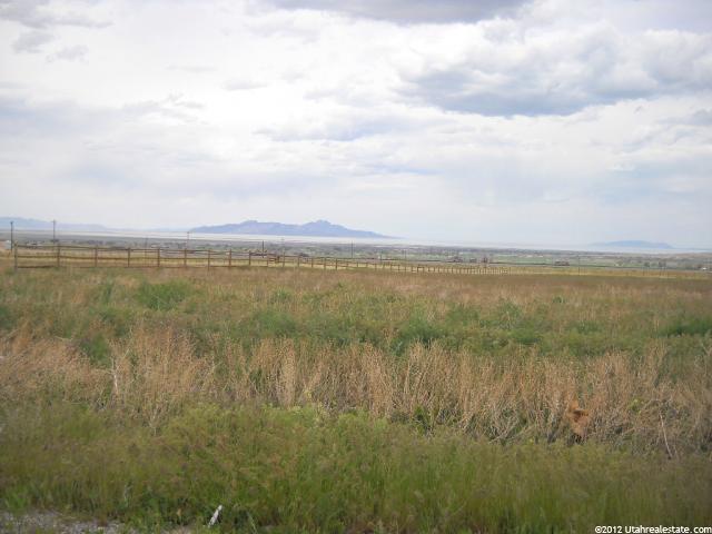 1319 E Green Meadows Ct #3, Pine Canyon, UT 84074 — photo 5