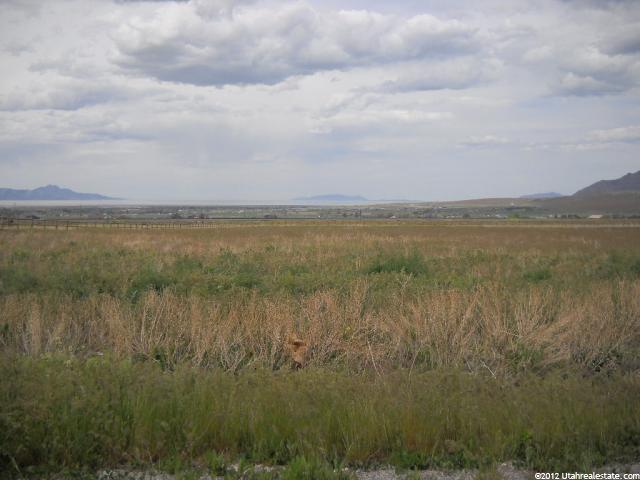 1277 E Green Meadows Ct #2, Pine Canyon, UT 84074 — photo 12