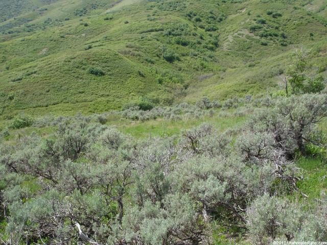 549 N Snow Rdg E #3, Emigration Canyon, UT 84108 — photo 6