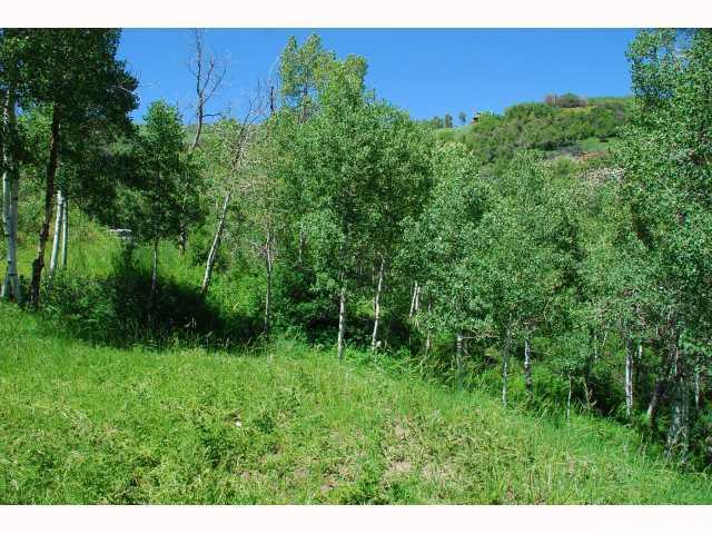 113 Mountain View #113, Oakley, UT 84055 — photo 3