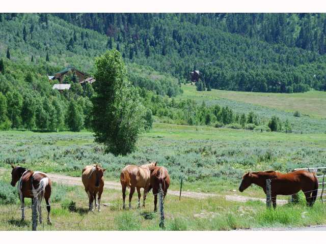 113 Mountain View #113, Oakley, UT 84055 — photo 9