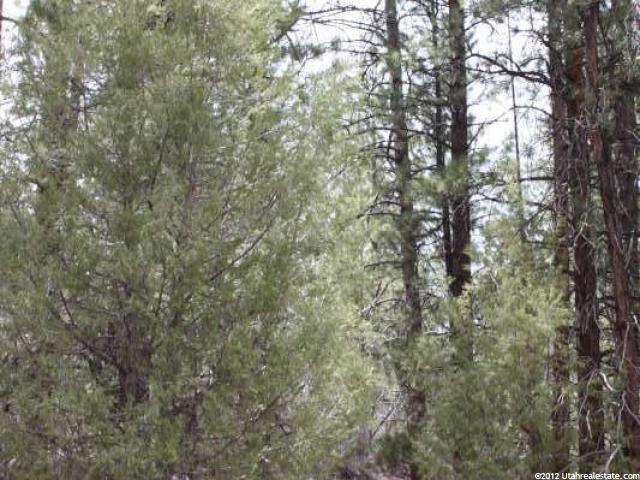 9 Lewis Ln, Mount Carmel, UT 84755 — photo 2