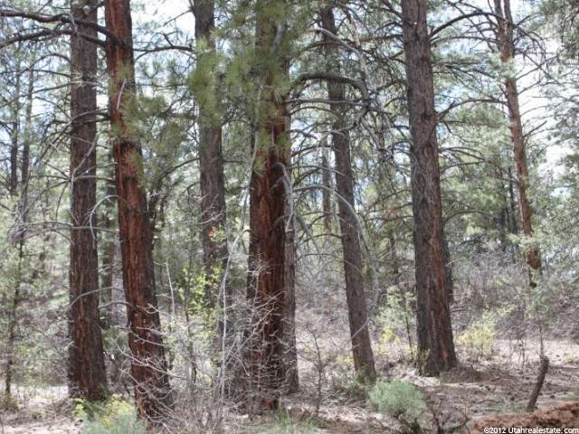 9 Lewis Ln, Mount Carmel, UT 84755 — photo 3