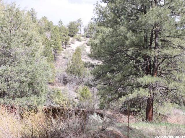 9 Lewis Ln, Mount Carmel, UT 84755 — photo 6