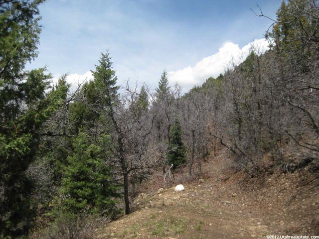 27 Acres #A27, Mt Pleasant, UT 84647 — photo 3