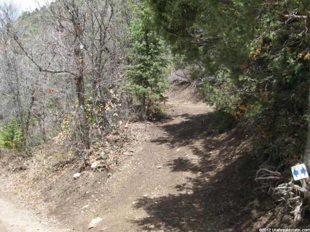 27 Acres #A27, Mt Pleasant, UT 84647 — photo 6